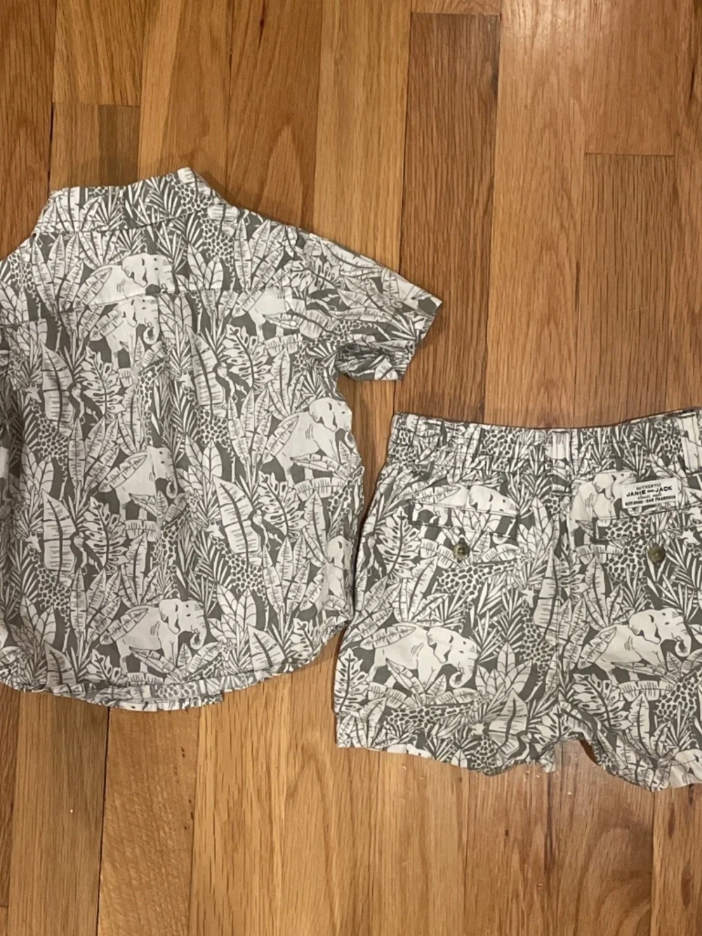 Janie And Jack 6-12mo Safari Two Piece Set
